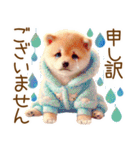 ずっと使える♥ふんわり柴犬の敬語（個別スタンプ：27）