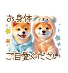 ずっと使える♥ふんわり柴犬の敬語（個別スタンプ：30）