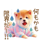 ずっと使える♥ふんわり柴犬の敬語（個別スタンプ：39）