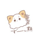 愛犬チワワの日常スタンプ 親バカすぎだ我（個別スタンプ：13）