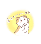 愛犬チワワの日常スタンプ 親バカすぎだ我（個別スタンプ：18）