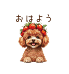 トイプードルの野菜コスプレ（個別スタンプ：1）