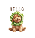 トイプードルの野菜コスプレ（個別スタンプ：3）