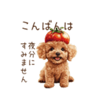 トイプードルの野菜コスプレ（個別スタンプ：4）