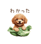 トイプードルの野菜コスプレ（個別スタンプ：8）