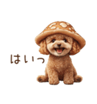 トイプードルの野菜コスプレ（個別スタンプ：9）