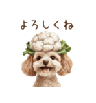 トイプードルの野菜コスプレ（個別スタンプ：18）