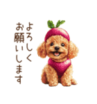 トイプードルの野菜コスプレ（個別スタンプ：19）