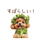 トイプードルの野菜コスプレ（個別スタンプ：22）