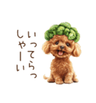 トイプードルの野菜コスプレ（個別スタンプ：25）