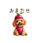 トイプードルの野菜コスプレ（個別スタンプ：32）