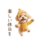 トイプードルの野菜コスプレ（個別スタンプ：35）