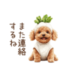 トイプードルの野菜コスプレ（個別スタンプ：37）