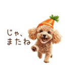 トイプードルの野菜コスプレ（個別スタンプ：38）