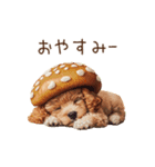 トイプードルの野菜コスプレ（個別スタンプ：40）