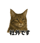 リアルすぎ！メインクーン猫の仕事スタンプ（個別スタンプ：14）
