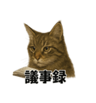 リアルすぎ！メインクーン猫の仕事スタンプ（個別スタンプ：15）