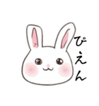 気づかい上手なうさぎ（個別スタンプ：1）