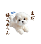 関西弁で動く♡羊毛マルチーズの家族連絡（個別スタンプ：4）