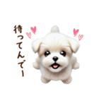 関西弁で動く♡羊毛マルチーズの家族連絡（個別スタンプ：7）