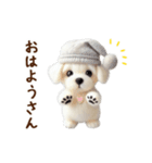 関西弁で動く♡羊毛マルチーズの家族連絡（個別スタンプ：11）