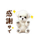 関西弁で動く♡羊毛マルチーズの家族連絡（個別スタンプ：14）