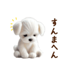 関西弁で動く♡羊毛マルチーズの家族連絡（個別スタンプ：15）