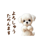 関西弁で動く♡羊毛マルチーズの家族連絡（個別スタンプ：16）