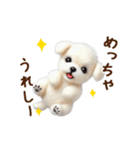 関西弁で動く♡羊毛マルチーズの家族連絡（個別スタンプ：19）