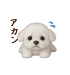 関西弁で動く♡羊毛マルチーズの家族連絡（個別スタンプ：20）