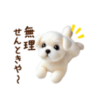 関西弁で動く♡羊毛マルチーズの家族連絡（個別スタンプ：23）