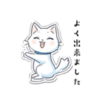 今日も元気な猫（個別スタンプ：13）