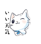 今日も元気な猫（個別スタンプ：16）