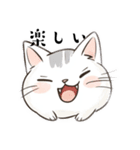 今日も元気な猫（個別スタンプ：19）
