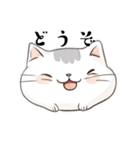今日も元気な猫（個別スタンプ：20）