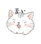 今日も元気な猫（個別スタンプ：23）