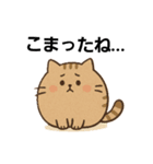 まんまる猫とらやんの、トラ猫仲間が集会中（個別スタンプ：3）