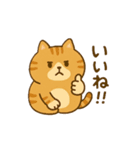 まんまる猫とらやんの、トラ猫仲間が集会中（個別スタンプ：5）