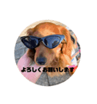 僕の名前はリトル君です（個別スタンプ：1）