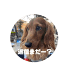 僕の名前はリトル君です（個別スタンプ：5）