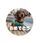 僕の名前はリトル君です（個別スタンプ：6）