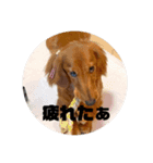僕の名前はリトル君です（個別スタンプ：7）