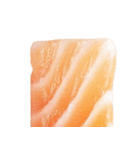 サーモン！（SALMON）（個別スタンプ：1）