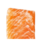 サーモン！（SALMON）（個別スタンプ：4）