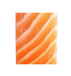 サーモン！（SALMON）（個別スタンプ：5）