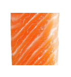 サーモン！（SALMON）（個別スタンプ：7）