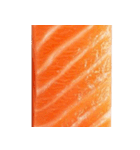 サーモン！（SALMON）（個別スタンプ：9）
