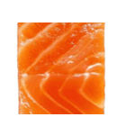 サーモン！（SALMON）（個別スタンプ：10）