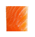 サーモン！（SALMON）（個別スタンプ：11）