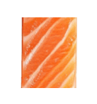 サーモン！（SALMON）（個別スタンプ：13）